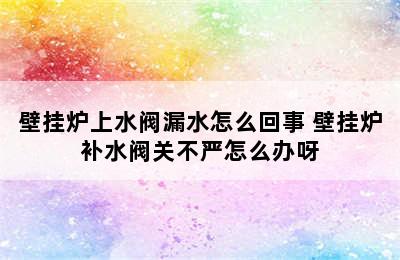 壁挂炉上水阀漏水怎么回事 壁挂炉补水阀关不严怎么办呀